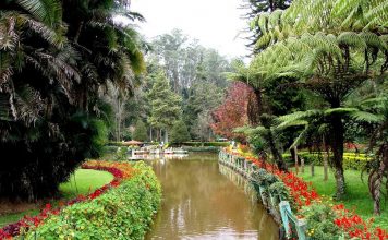 சிம்ஸ் பூங்கா (Sim’s Park)