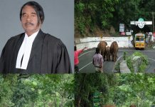 யானை வழி தடத்தை க்ளியர் செய்ய உச்சநீதி மன்றம் நடவடிக்கை