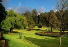 ஊட்டி தாவரவியல் பூங்கா (Ooty Botanical Gardens)
