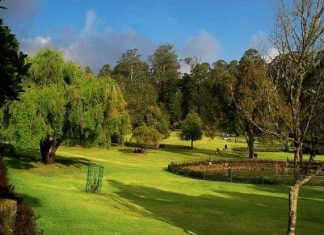 ஊட்டி தாவரவியல் பூங்கா (Ooty Botanical Gardens)