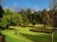 ஊட்டி தாவரவியல் பூங்கா (Ooty Botanical Gardens)