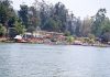 ஊட்டி ஏரி (Ooty lake)