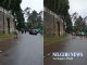 உதகையில் உள்ள முக்கிய சாலைகளில் கால்நடைகள் அதிகளவில் உலா வருகின்றன
