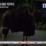 роЙродроХрпИропро┐ро▓рпН роорпБроХрпНроХро┐роп роЪро╛ро▓рпИ ро╡ро┤ро┐ропро╛роХ роЙро▓ро╛ ро╡роирпНродродрпБ роХро╛роЯрпНроЯрпБ роОро░рпБроорпИ