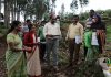 மாவட்ட ஊரக வளர்ச்சி முகமை சார்பில் நடைபெற்று வரும் வளர்ச்சி திட்ட பணிகளை மாவட்ட ஆட்சித்தலைவர் திருமதி.ஜெ.இன்னசென்ட் திவ்யா அவர்கள் பார்வையிட்டு ஆய்வு செய்தார்.