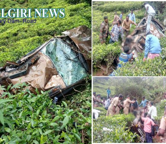 கிருஷ்ணகிரியில் இருந்து உதகை பள்ளியில் படிக்கும் மகளை பார்க்க வந்தவர்களின் கார் விபத்துக்குள்ளானது. இதில் பெண் ஒருவர் உயிரிழந்தார்