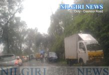 ஆல்டோ காரும் பிக்கப் வாகனம் மோதி விபத்துக்குள்ளானது