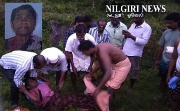 யானை தாக்கியதில் பெண் உயிரிழப்பு