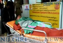 கோத்தகிரி அருகே காட்டு யானை தாக்க முற்பட்டதால் பெண் காயம்.