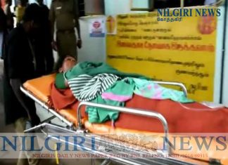 கோத்தகிரி அருகே காட்டு யானை தாக்க முற்பட்டதால் பெண் காயம்.