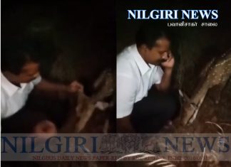 வனத்தில் விபத்து: ஆசிரியர் மற்றும் மானை மீட்ட நீதிபதி