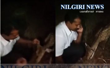 வனத்தில் விபத்து: ஆசிரியர் மற்றும் மானை மீட்ட நீதிபதி