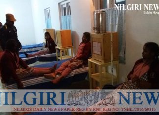 பள்ளி சென்று வீடு திரும்பிய நான்கு மாணவிகளை காட்டெருமை தாக்க முற்பட்டதால் கீழே விழுந்து காயம்