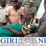 காட்டெருமை தாக்கியதில் பெண் படுகாயம்