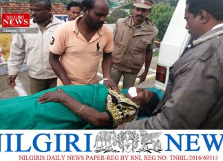 காட்டெருமை தாக்கியதில் பெண் படுகாயம்