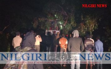 நீலகிரி மாவட்டம் அருவங்காடு பகுதியில் மரம் ஒன்று விழுந்தது
