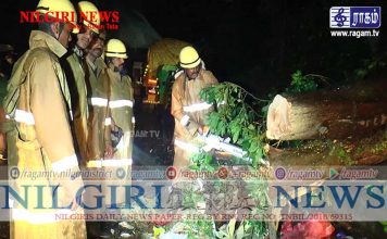 ராட்டன் டாட்டா சாலையில் விழுந்த மரத்தை தீயணைப்பு துறையினர் அகற்றினர்.