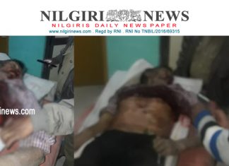 காட்டு மாடு தாக்கியதில் ஒருவர் சம்பவ இடத்திலேயே உயிரிழந்தார்