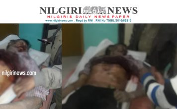 காட்டு மாடு தாக்கியதில் ஒருவர் சம்பவ இடத்திலேயே உயிரிழந்தார்