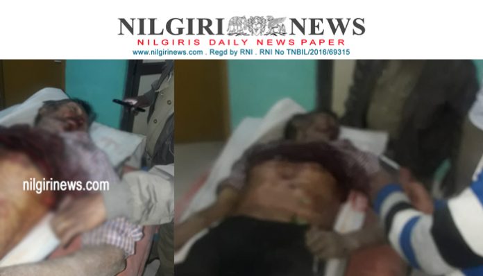 காட்டு மாடு தாக்கியதில் ஒருவர் சம்பவ இடத்திலேயே உயிரிழந்தார்