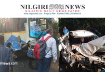 அரசு பேருந்தும் காரும் மோதி விபத்துக்குள்ளானது