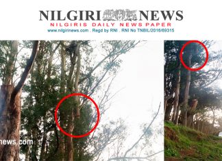 அந்தரத்தில் உயிர்பலி வாங்க காத்திருக்கும் மரக்கிளை