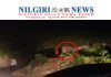 கோத்தகிரி சாலையில் இரவு ஒற்றை காட்டு யானை
