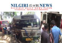 நீலகிரி மாவட்டம் கூடலூரை அடுத்துள்ள தொரப்பள்ளி என்ற இடத்தில் கர்நாடக பேருந்தும் தமிழக பேருந்து மோதி விபத்துக்குள்ளானது .