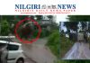 நீலகிரி மாவட்டம் தொரப்பள்ளி பகுதியில் காட்டு யானை தாக்கியதில் ஜீப் சேதம் Nilgiri News