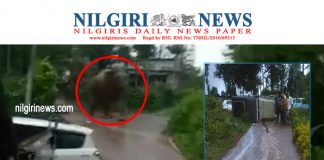 Nilgiri News